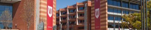 western-sydney-university-studysea-danmark