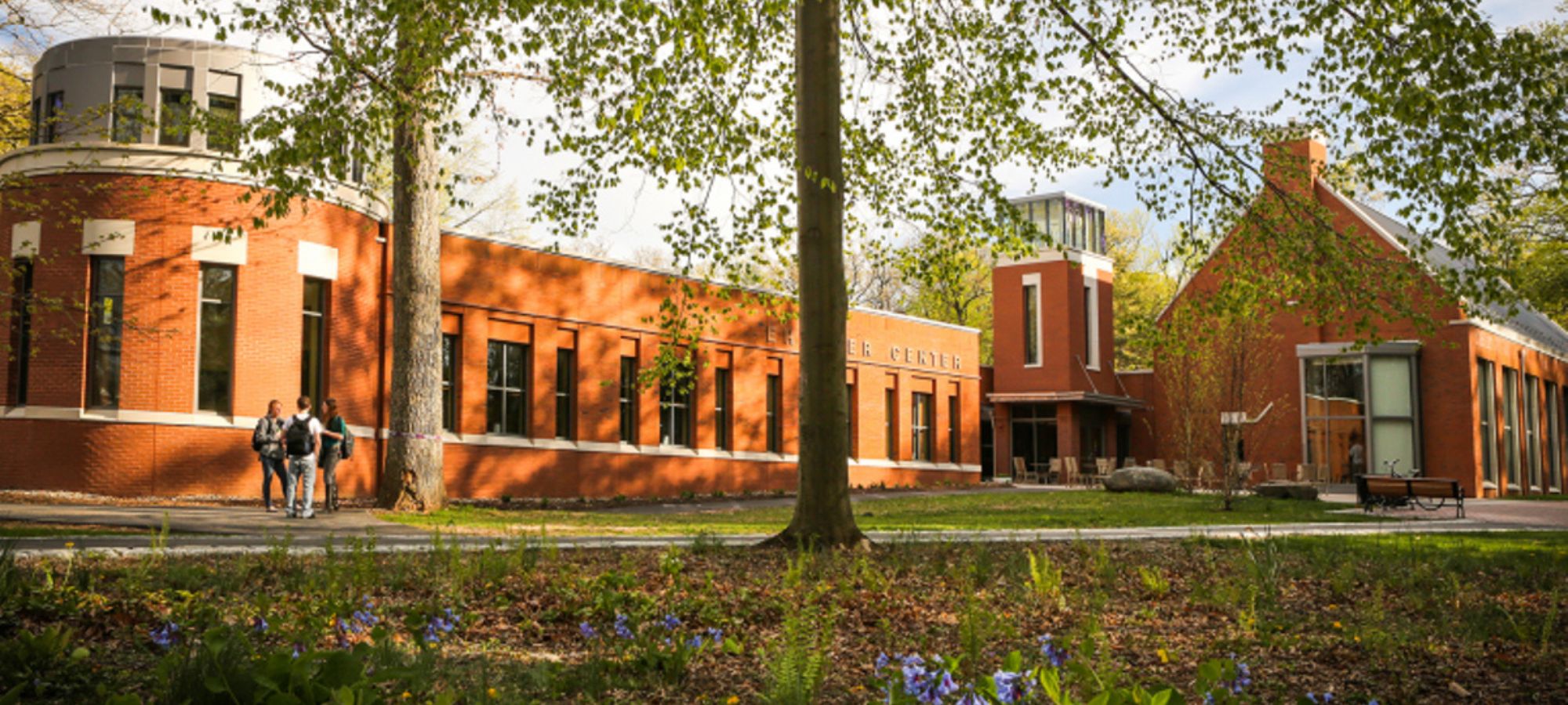 drew university
