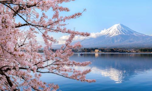 Japan-asien-mellemoesten-studysea-udveksling-freemover-Studier-i-Japan-Tokyo