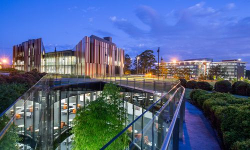 Macquarie-university-sydney-udveksling-freemover-studysea-Australien
