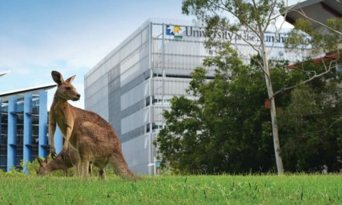 University-of-the-sunshine-coast-udveksling-studysea-freemover-Australien